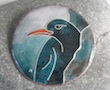 chough enamel brooch